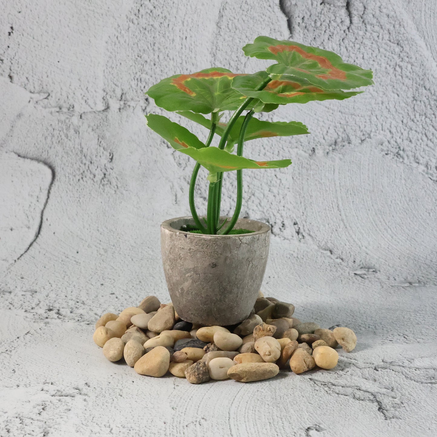 Decorative River Rock Stones (1 Set)